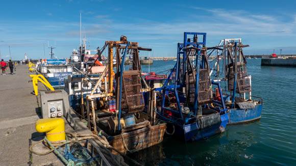 Fishing Port Howth