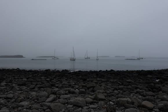 Nebel