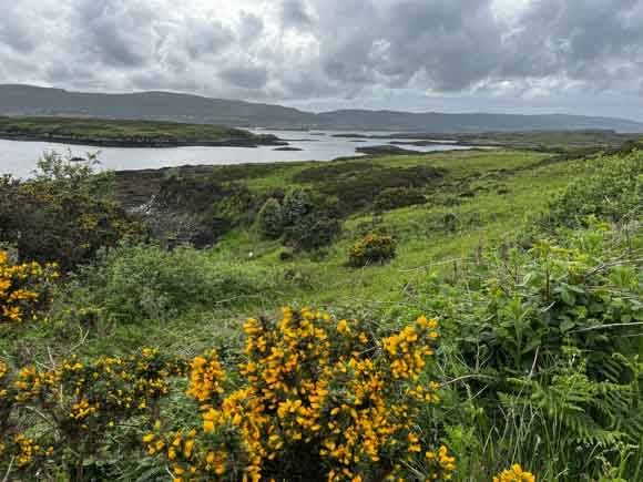 Blick vom Dunvegan Castle
