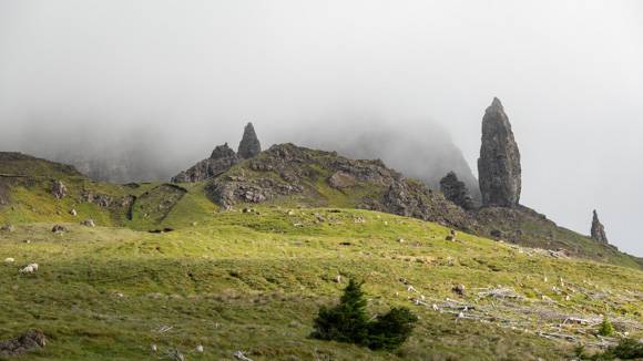 Felsnadel