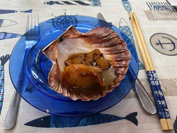 Kammmuscheln
