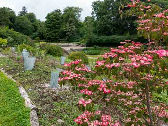 Schlossgarten