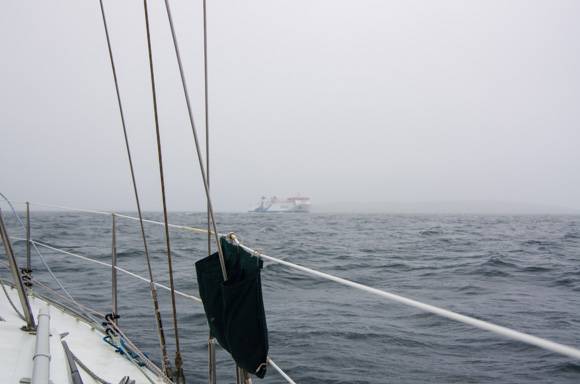 Fog