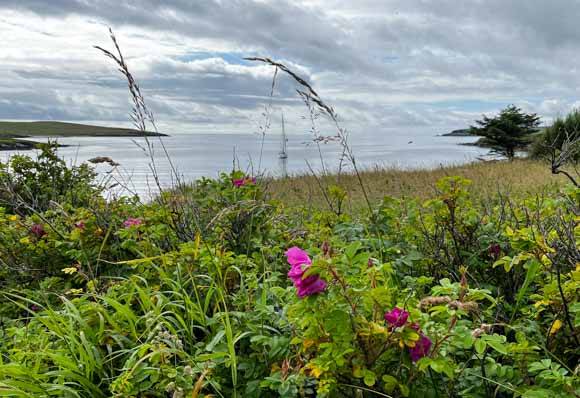 Anchorage at Hoswick
