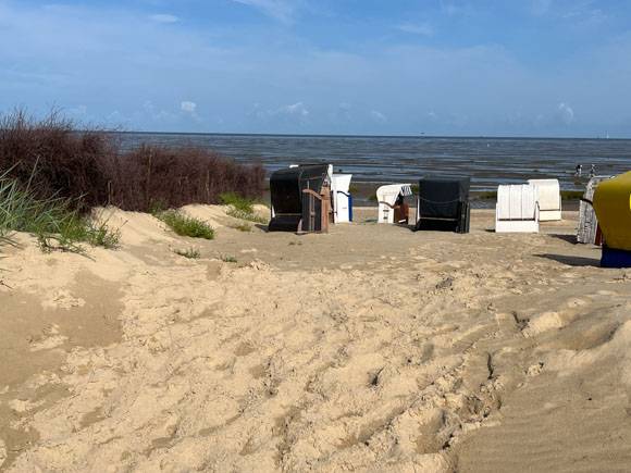 Beach Chairs