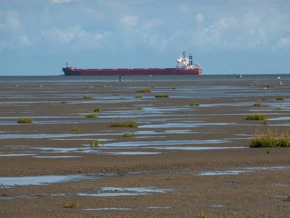 Shore at low tide