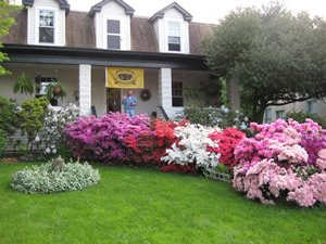 Hause